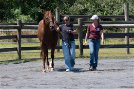 LR-WRF 08022025-Retreat-3187